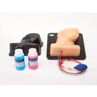 Blue Phantom Internal Jugular Central Line Ultrasound Manikin, 3012495, Ultrasound Skill Trainers (Small)