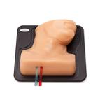 Blue Phantom Internal Jugular Central Line Ultrasound Manikin, 3012495, Ultrasound Skill Trainers (Small)