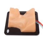 Blue Phantom Internal Jugular Central Line Ultrasound Manikin, 3012495, Ultrasound Skill Trainers (Small)