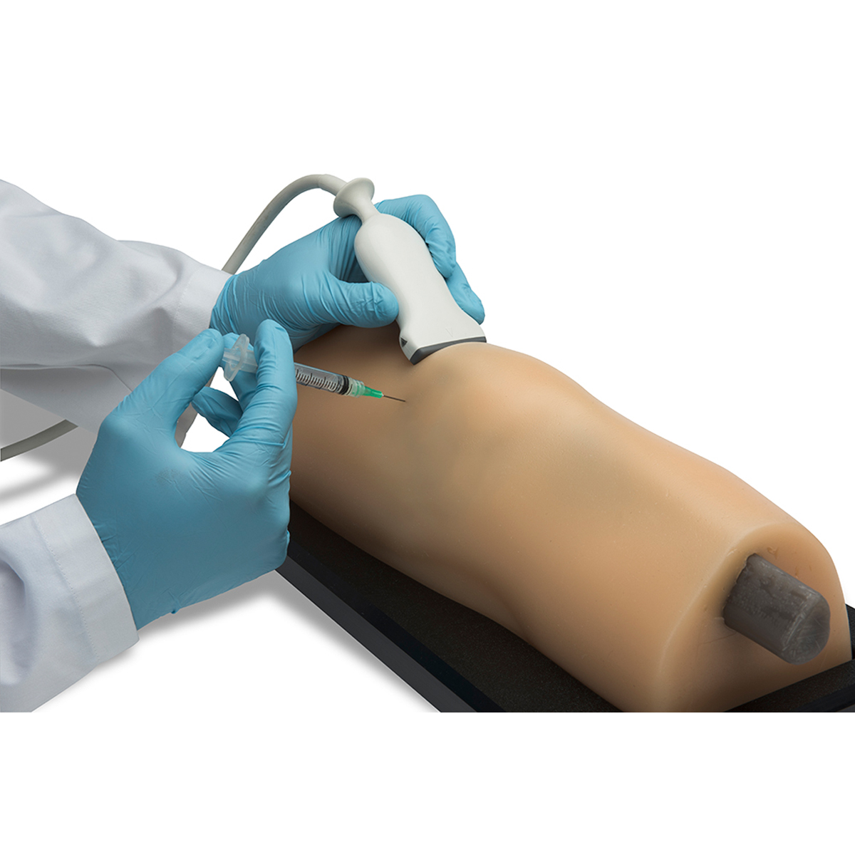 Blue Phantom MSK Knee Ultrasound Training Model | 3012498 | Blue ...