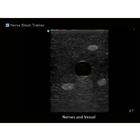 Blue Phantom Regional Anesthesia Ultrasound Training Block Model, 3012506, Entrenadores de habilidades de ultrasonido (Small)