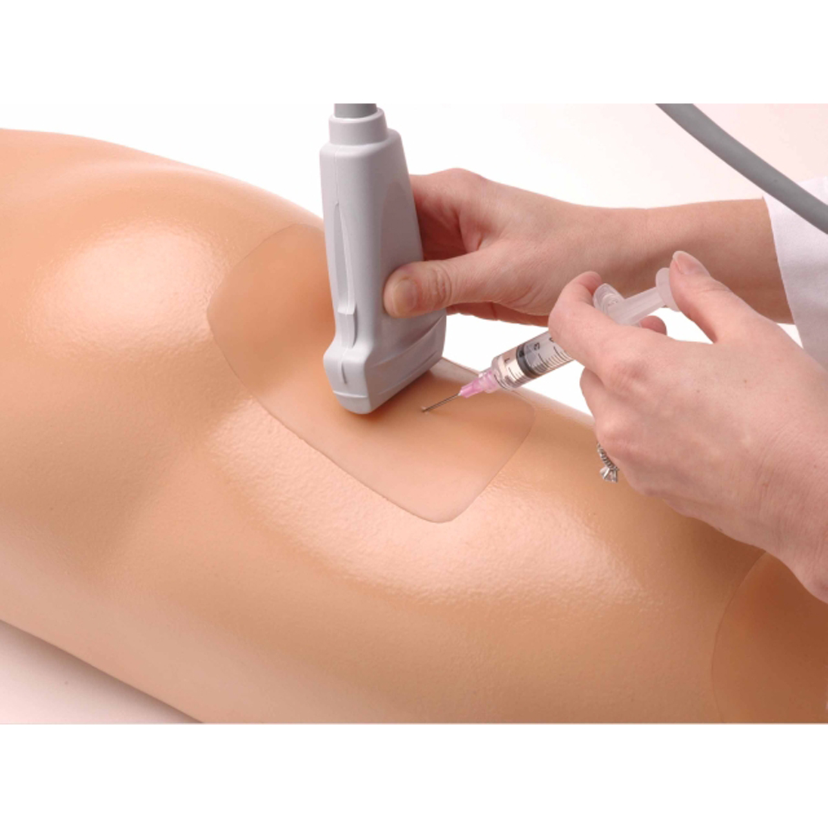 Blue Phantom Sciatic Nerve Regional Anesthesia Ultrasound Training ...