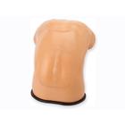 Blue Phantom Spinal Epidural, Lumbar Puncture and Thoracic Epidural Training Model, 3012515, Entrenadores de habilidades de ultrasonido (Small)