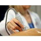 Blue Phantom Spinal Epidural, Lumbar Puncture and Thoracic Epidural Training Model, 3012515, Entrenadores de habilidades de ultrasonido (Small)