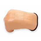 Blue Phantom Spinal Epidural and Lumbar Puncture Training Model, 3012516, Ultrasound Skill Trainers (Small)