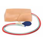 Blue Phantom Femoral Vascular Access Replacement Tissue w/ DVT for BPP-031 to BPP-036, 3012553, Ultrasound Skill Trainers