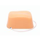 Blue Phantom Obese Lumbar Epidural and Lumbar Puncture Replacement Tissue, 3012582, Ultrasound Skill Trainers