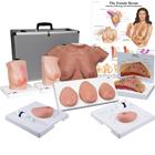 3B Breast Cancer Diagnosis Educator's Package, 3018061, Medical Simulators