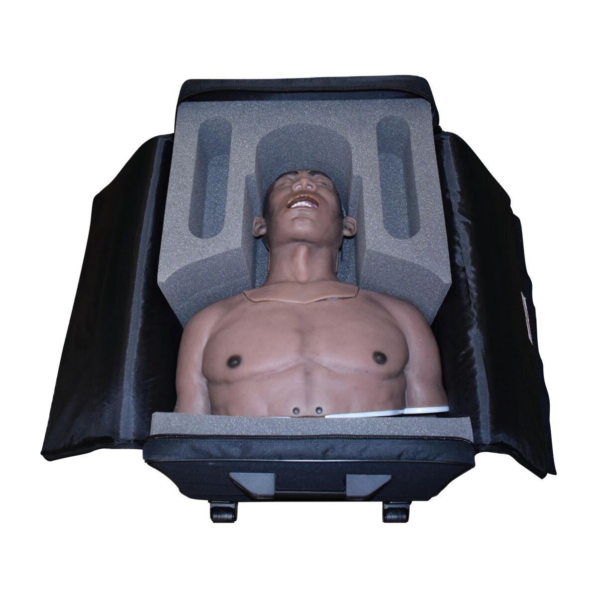 Torso Trainer Carry Case | 1026931 | 3018428 | 7-Sigma | 370.770.7701 ...