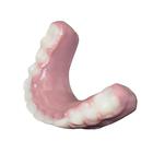 Dientes inferiores pedi&aacute;tricos, 1026944 [3018461], Repuestos (Small)