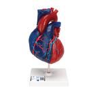 Wearable Auscultation Training Set "Intro" with SimShirt, 8000997, Simulation Starter Kits (Small)
