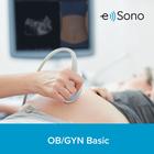 e Sono jinekolojik ve obstetrik (kadın doğum) temel ultrason kursu &ndash; Bireysel lisans, 8001270, e Sono Kursları Bireysel Lisanslar (Small)