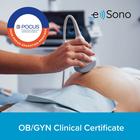 e Sono & POCUS Certification Academy - Maternal Fetal Health Certification Package, 8001359, POCUS Clinical Certification Packages&nbsp; (Small)
