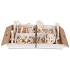 Disarticulated Half Human Skeleton Model, Wire Mounted Hand & Foot -  3B Smart Anatomy, 1020155 [A04], Disarticulated Human Skeleton Models