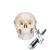 Crâne miniature, en 3 parties - 3B Smart Anatomy, 1000041 [A18/15], Modèles de moulage de crânes humains (Small)