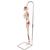 미니 전신골격 “Shorty" Mini Human Skeleton - Shorty - with painted muscles, on hanging stand - 3B Smart Anatomy, 1000045 [A18/6], 소형 인체 골격 모형 (Small)