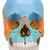 Crâne articulé 3B Scientific® - 22 pièces - version didactique en couleurs - 3B Smart Anatomy, 1000069 [A291], Modèles de moulage de crânes humains (Small)