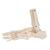 Esqueleto del pie con partes de tibia y fibula articulado flexiblemente - 3B Smart Anatomy, 1019358 [A31/1], Modelos de esqueleto de Pierna y Pie (Small)