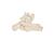 Lábfej csontos váza sípcsont- és szárkapocscsont-csonkokkal, 1019358 [A31/1], Láb és lábfej modellek (Small)