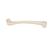 Fémur, - 3B Smart Anatomy, 1019360 [A35/1], Modèles de squelettes des membres inférieurs (Small)