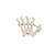 Esqueleto da Mão montado em arame, 1019367 [A40], Modelos de esqueletos do braço e mão (Small)