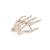 Human Hand Skeleton Model, Wire Mounted - 3B Smart Anatomy, 1019367 [A40], Arm and Hand Skeleton Models (Small)