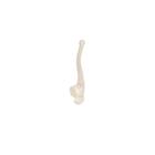 Human Ulna Model, 1019373 [A45/2], Arm and Hand Skeleton Models (Small)
