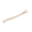 Human Radius Model, 1019374 [A45/3], Arm and Hand Skeleton Models (Small)
