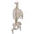 Classic Flexible Human Spine Model with Ribs & Femur Heads - 3B Smart Anatomy, 1000120 [A56/2], Human Spine Models (Small)