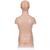 Mini torso, em 12 partes, 1000195 [B22], Modelo de torso (Small)