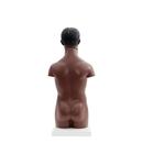 Mini Human Torso Model, 12 part, dark skin, 1024376 [B22D], Human Torso Models (Small)