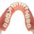 Afección dental, a 2 aumentos, de 21 piezas - 3B Smart Anatomy, 1000016 [D26], Modelos dentales (Small)