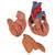 Klasszikus szív csecsemőmiriggyel, 3 részes - 3B Smart Anatomy, 1000265 [G08/1], Szív és érrendszeri modellek (Small)