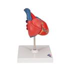 Corazones cl&aacute;sicos, en 2 piezas, 1017800 [G08], Modelos de Coraz&oacute;n (Small)