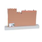 Human Skin Section Model, 40 times Full-Size, 1000290 [J11], Skin Models (Small)