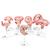 Deluxe Pregnancy Models Series, 9 Individual Embryo & Fetus Models - 3B Smart Anatomy, 1018628 [L11], Pregnancy Models (Small)