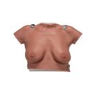 Wearable Breast Self Examination Model W/Case, Light Skin, 1000342 [L50], Breast Models (Small)