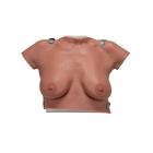 着装式乳房自检模型, 1000343 [L51], 胸部模型