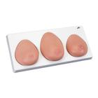 유방 자가검진 및 촉진훈련용 모형 Breast Self Examination model, three single breasts on base, 1000344 [L55], 유방 모형