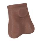 Testicle Model, Dark Skin, 1023302 [L60D], Genital and Pelvis Models (Small)