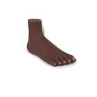 Normal Foot Model, dark skin, 1024387 [M30D], Joint Models (Small)