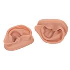 3B Ear set, one left and right ear, 1000373 [N15], Acupuncture Charts and Models (Small)