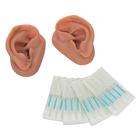 Acupuncture Ears, Set for 10 Students, 1000376 [N16], Acupuncture Charts and Models