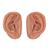 Acupuncture Ears, Set for 10 Students, 1000376 [N16], Acupuncture Charts and Models (Small)