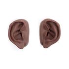 Orejas para acupuntura, juego para 10 estudiantes,&nbsp;&nbsp;tono de piel oscuro, 1024486 [N16D], Modelos (Small)