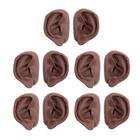 Orejas para acupuntura, juego para 10 estudiantes,&nbsp;&nbsp;tono de piel oscuro, 1024486 [N16D], Modelos (Small)