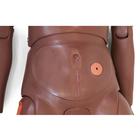 3B Scientific&reg; Maniqu&iacute; de cuidados PRO Dark, 1023316 [P10/1D], Cuidado del paciente adulto (Small)