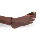 3B Scientific&reg; Maniqu&iacute; de cuidados PRO Dark, 1023316 [P10/1D], Cuidado del paciente adulto (Small)