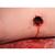 P103 vérzéscsillapítási oktató láb, 1023106 [P103], Harctérisebesülés-ellátási TCCS szimulátor (Small)