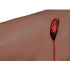 Hemorrhage Control Leg Trainer, Dark Skin, 1023314 [P103D], Advanced Trauma Life Support (ATLS) (Small)